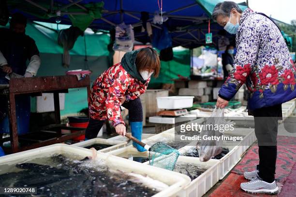 Vendors are selling fish in an open market on December 2, 2020 in Wuhan, Hubei province, China. As there have been no recorded cases of community...