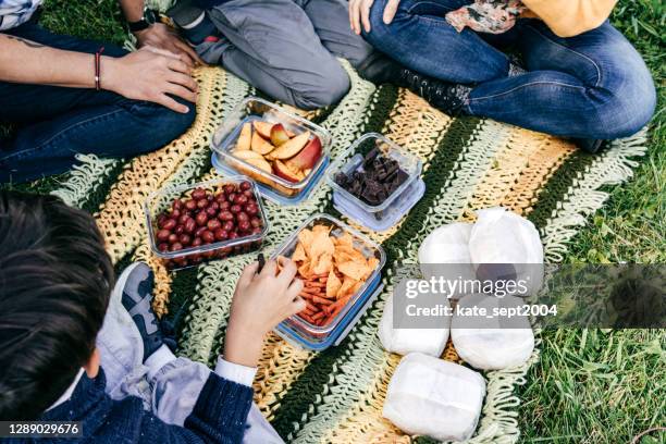 top view of mexican food for the family picnic - mexican picnic stock pictures, royalty-free photos & images