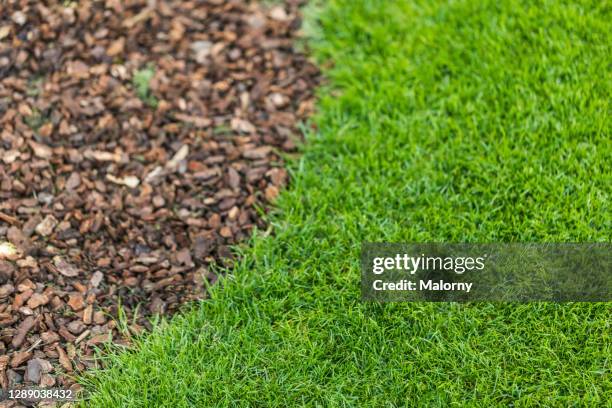 close-up of lawn and bark mulch - bark mulch stock pictures, royalty-free photos & images