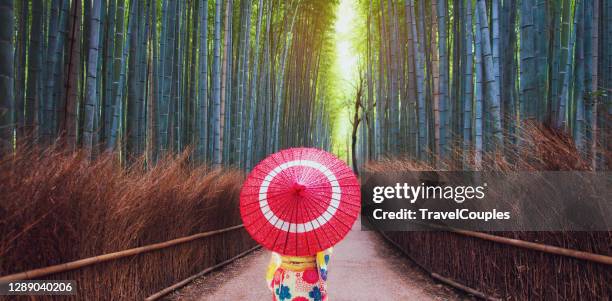 bamboo forest. asian woman wearing japanese traditional kimono at bamboo forest in kyoto, japan. - arashiyama stock-fotos und bilder