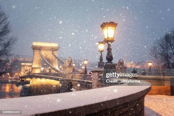 beleuchtete szechenyi kettenbrücke von budapest in einer verschneiten winterlandschaft in der dämmerung - chain bridge suspension bridge stock-fotos und bilder