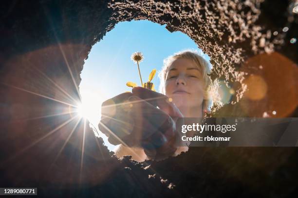 a young woman planting flower seedlings in the soil with a garden shovel on a sunny spring day. gardening in your front or backyard - racine terre photos et images de collection