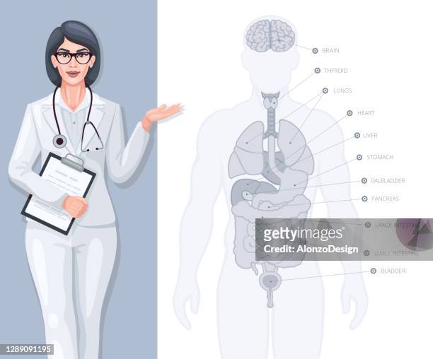 female doctor showing poster with human anatomy - digestive system model stock illustrations
