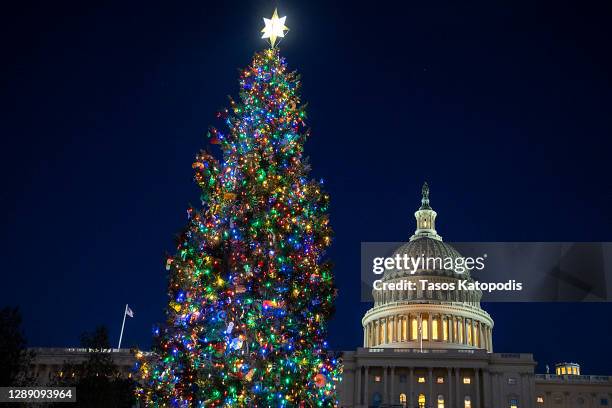 The U.S. Capitol Christmas tree is illuminated during a ceremony on the West Lawn of the Capitol Building on December 02, 2020 in Washington, DC. The...