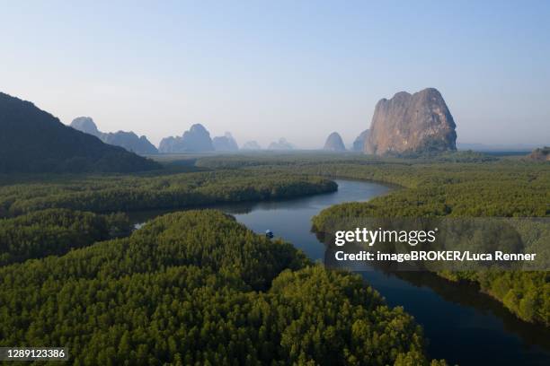 aerial view, mangrove forest with meandering river and high karst rocks during sunrise, ao phang-nga national park, phang-nga province, thailand - provincia di phang nga foto e immagini stock