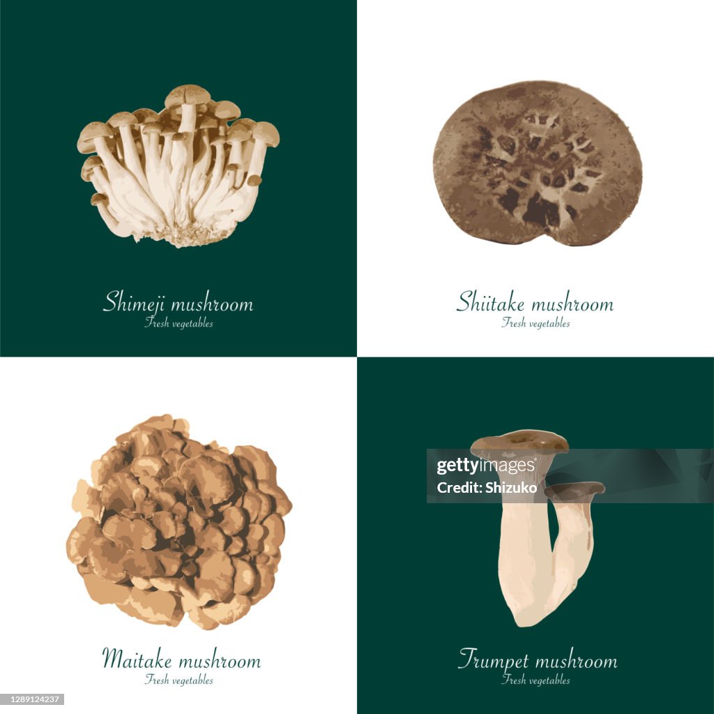 Mushroom from background of white and dark green