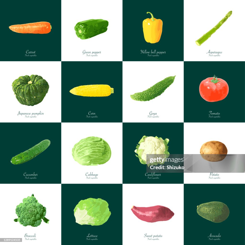 Vegetables from background of white and dark green
