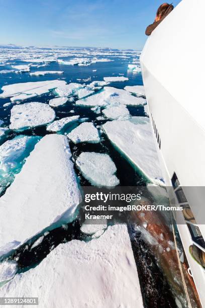 cruise ship in the ice, bowsprit breaks through ice, east coast greenland, denmark - spartan cruiser stock pictures, royalty-free photos & images