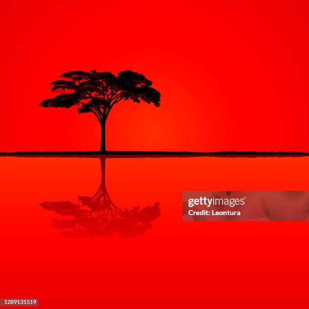 highly detailed tree silhouette - deforestation brazil stock illustrations