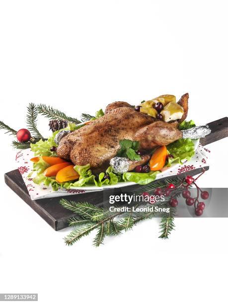 food photography of christmas and thanksgiving oven baked duck with apple side view served in a festive version with fir branches on a white background isolated close up - christmas bbq stock pictures, royalty-free photos & images