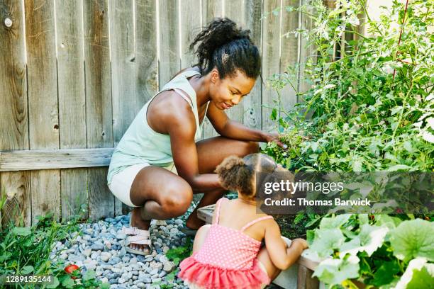 smiling mother and young daughter tending to plant beds in backyard garden - black shorts stockfoto's en -beelden