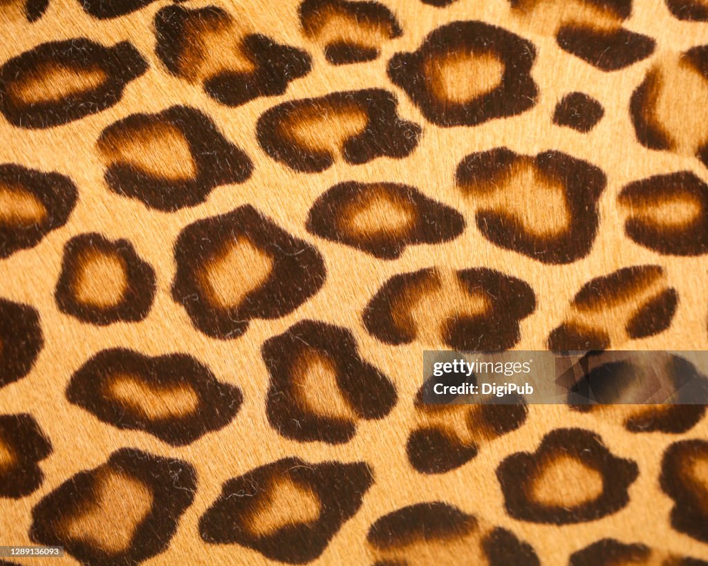 Leopard print pattern
