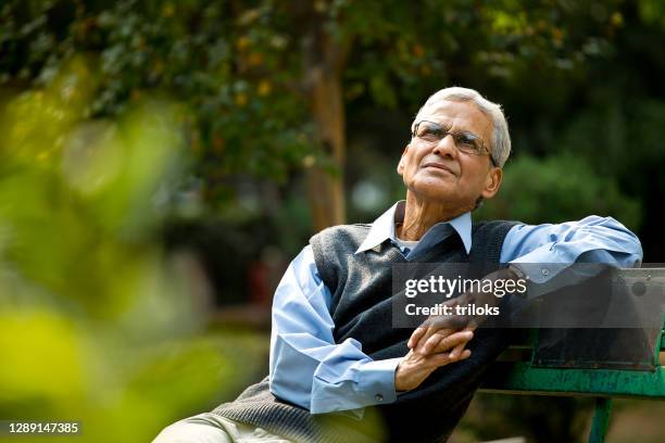 nadenkende hogere mens bij park - indian man stockfoto's en -beelden