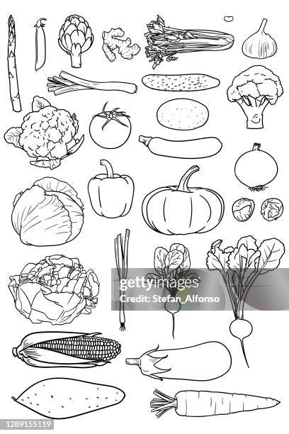 illustrations, cliparts, dessins animés et icônes de ensemble de dessins simples de légumes bons pour colorier des livres - poireau