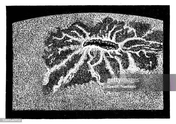 ein sonnenfleck umgeben von fackeln - sonnenflecken stock-grafiken, -clipart, -cartoons und -symbole