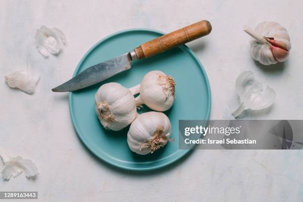 from above of a plate of garlic heads - blue plate stock pictures, royalty-free photos & images