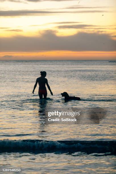 swimming with her dog - dog swimming stock pictures, royalty-free photos & images