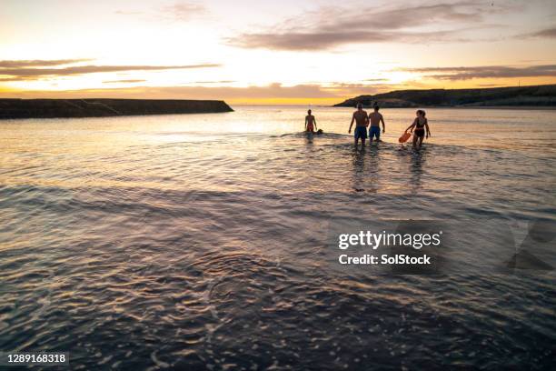 swimming at sunrise - open water swimming stock pictures, royalty-free photos & images