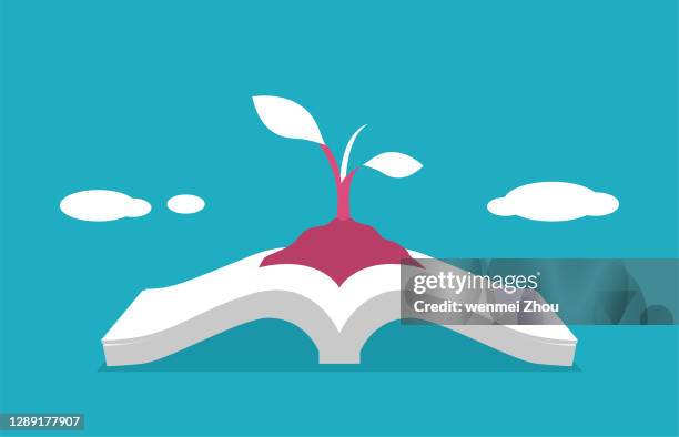 beginnings - seed starting stock illustrations