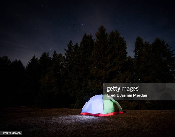 two adult silhouettes sitting in camping tent at night near forest - moonlight lovers fotografías e imágenes de stock