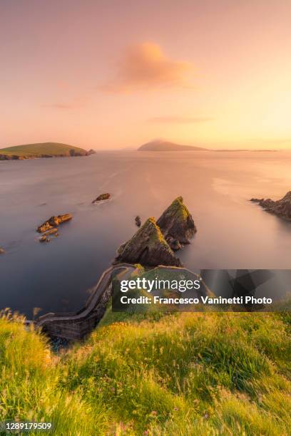 dunquin pier and blasket islands in the background, ireland. - great blasket island stock pictures, royalty-free photos & images