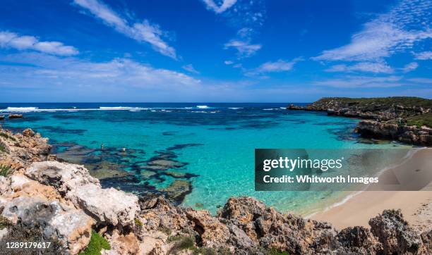 beautiful little salmon bay on rottnest island, perth, western australia - rottnest island stock pictures, royalty-free photos & images