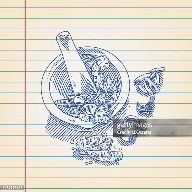 mortar and spices drawing on ruled paper - cardamom stock illustrations