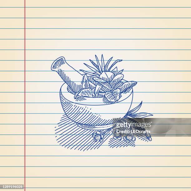 mortar and herbs drawing on ruled paper - ayurveda stock illustrations