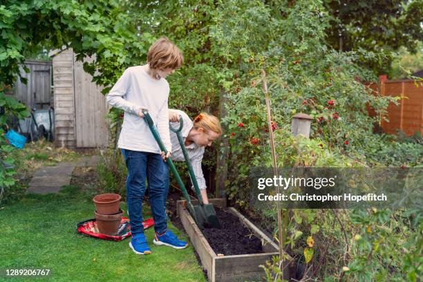 457 Digging In Compost Stock Photos, High-Res Pictures, and Images ...