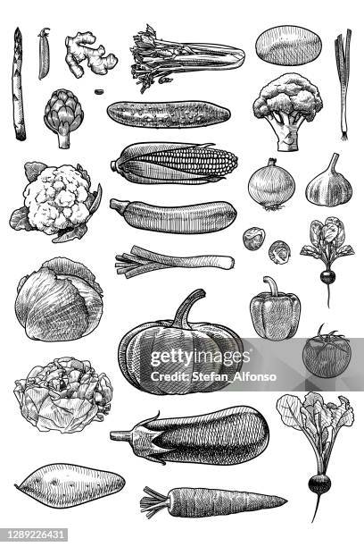 ilustraciones, imágenes clip art, dibujos animados e iconos de stock de conjunto de dibujos vectoriales de verduras - asparagus