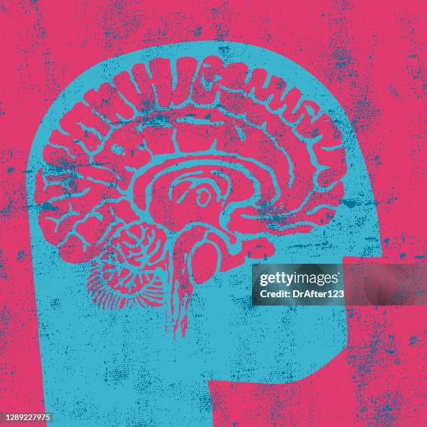 head and brain vibrant concept - brain section stock illustrations