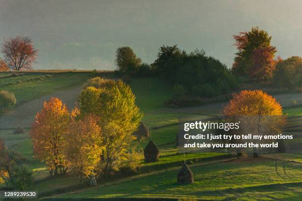 maramures county - romania, europe - romania village stock pictures, royalty-free photos & images