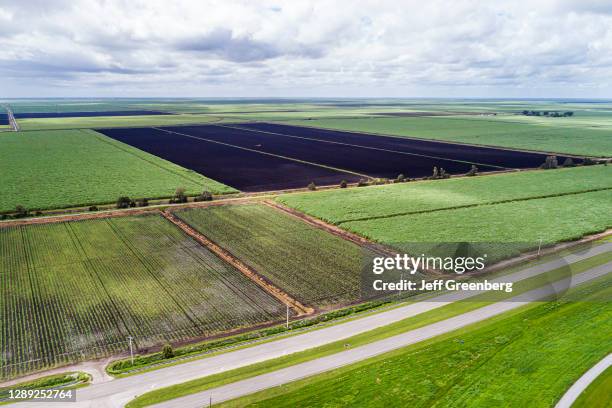 Florida, South Bay, flat farmland sugarcane fields and black fertile soil .