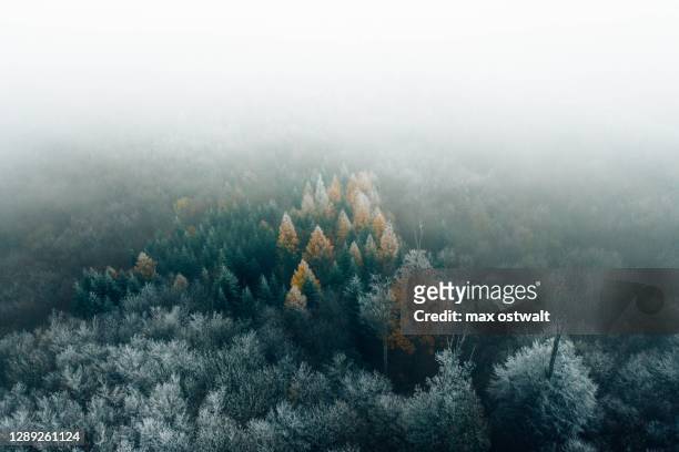wunderschöne herbst-winter-landschaft aus der luft aufgenommen - niederösterreich winter fotografías e imágenes de stock