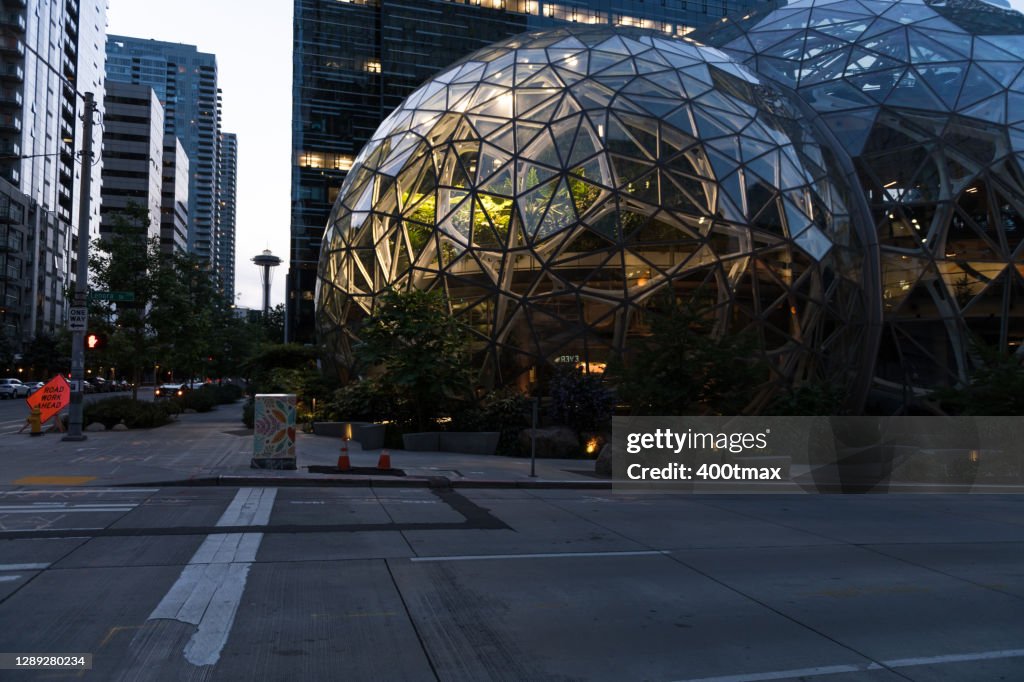 Seattle Pandemic