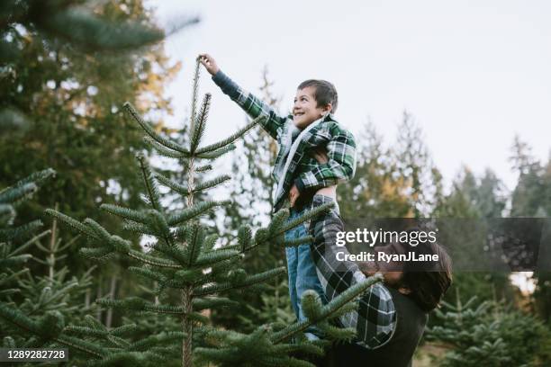 family at local christmas tree farm picking tree - christmas tree outside stock pictures, royalty-free photos & images