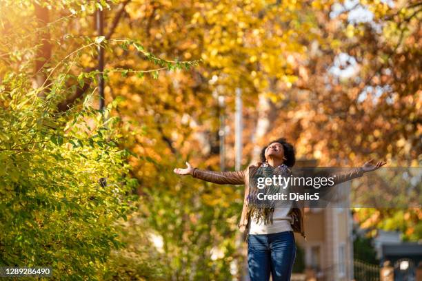 giornata di donne afroamericane che sogna nel parco pubblico in una bellissima giornata autunnale. - gratitude foto e immagini stock