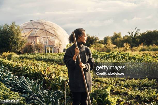 nature gives us so much goodness - estufa estrutura feita pelo homem imagens e fotografias de stock