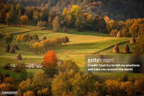 maramures county - romania, europe - maramureș stock pictures, royalty-free photos & images