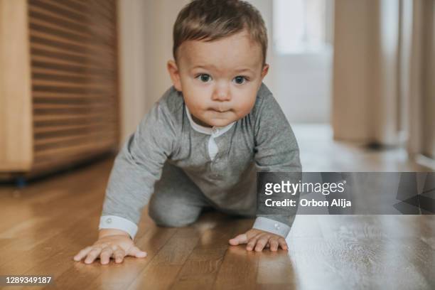 baby crawling - baby crawling stock pictures, royalty-free photos & images