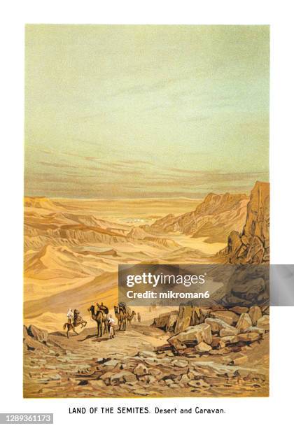 old engraved illustration of land of semites. desert and caravan - archaeology science stock pictures, royalty-free photos & images