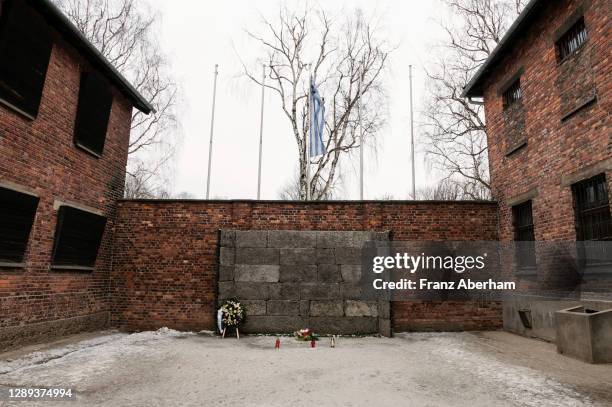 Auschwitz Rabbit 16 500 Auschwitz Photos et images haute résolution - Getty Images