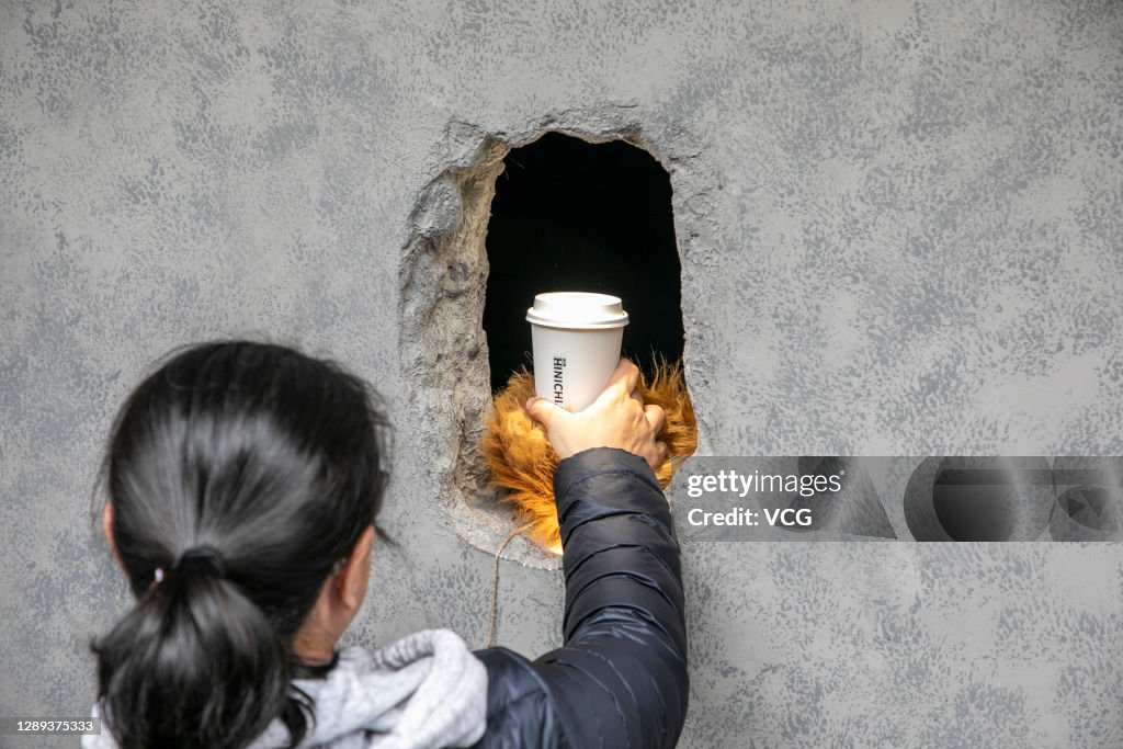Hole-in-the-wall Coffee Shop Popular In Shanghai