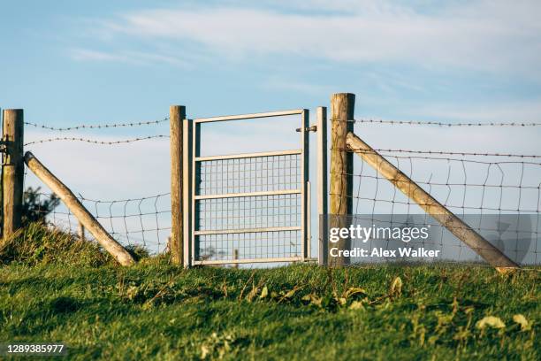 metal gate in fence line - barbed wire stock pictures, royalty-free photos & images
