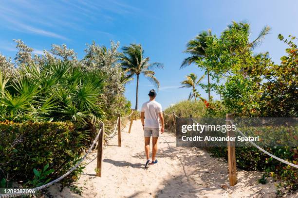 rear view of a young man walking towards beach in miami beach, florida, usa - miami beach stock pictures, royalty-free photos & images