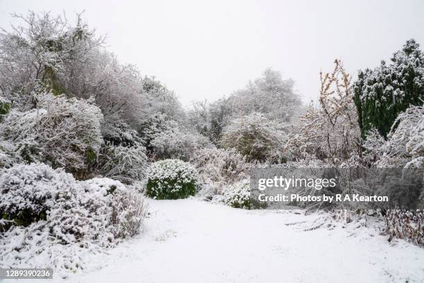 snow covered country garden - nieve profunda fotografías e imágenes de stock