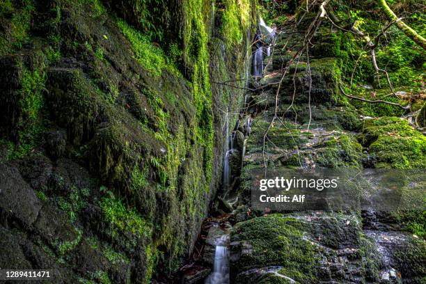 la salgueira waterfall on the water route in taramundi, asturias, spain - water conservation fotografías e imágenes de stock