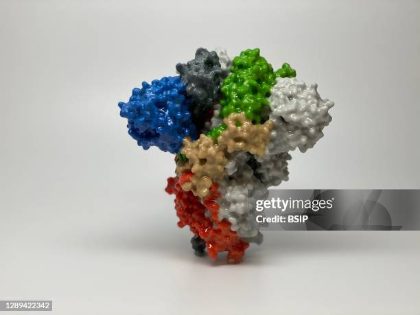 Print of a spike protein on the surface of SARS-CoV-2 also known as 2019-nCoV, the virus that causes COVID-19. Spike proteins cover the surface of...