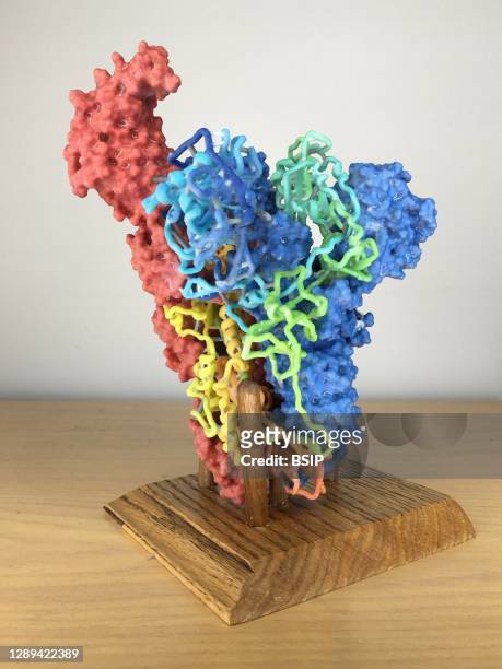 Print of a coronavirus spike. The spike is a protein on the surface of the coronavirus MERS-CoV that helps the virus enter and infect cells. Credit:...