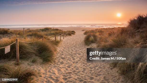 sandy path to beach against sky during sunset,england,united kingdom,uk - coastal footpath stock pictures, royalty-free photos & images